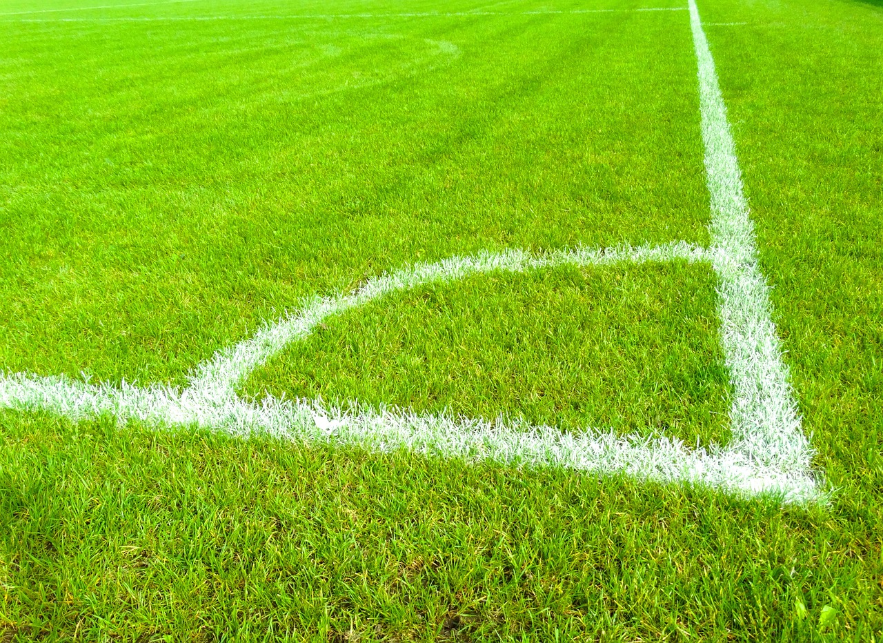 2026赛季网球联合杯公布入围名单 张之臻领衔中国队参赛